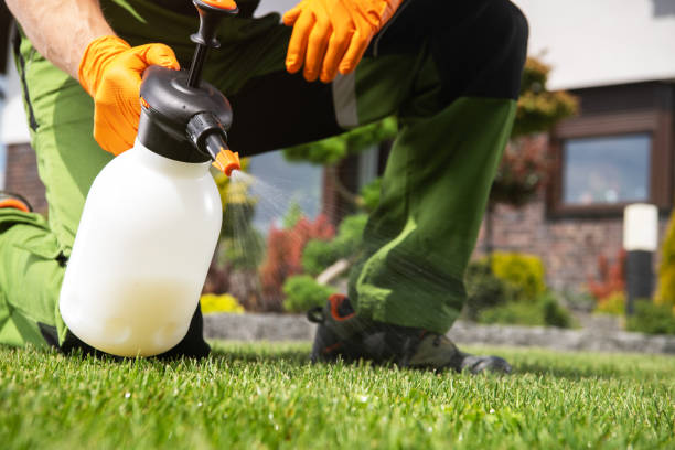Best Best Pest Control Companies  in Palos Park, IL
