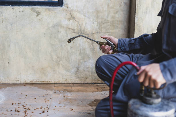 Best Pest Control Near Me  in Palos Park, IL